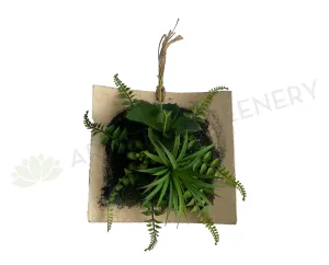 ACC0105 Succulent Art Mounted on Clay Plaque 20cm (SPECIAL)