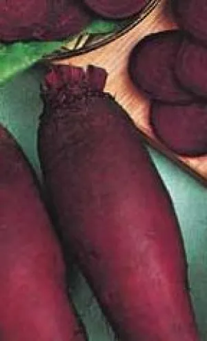 Beets - Cylindra Organic (Seeds)