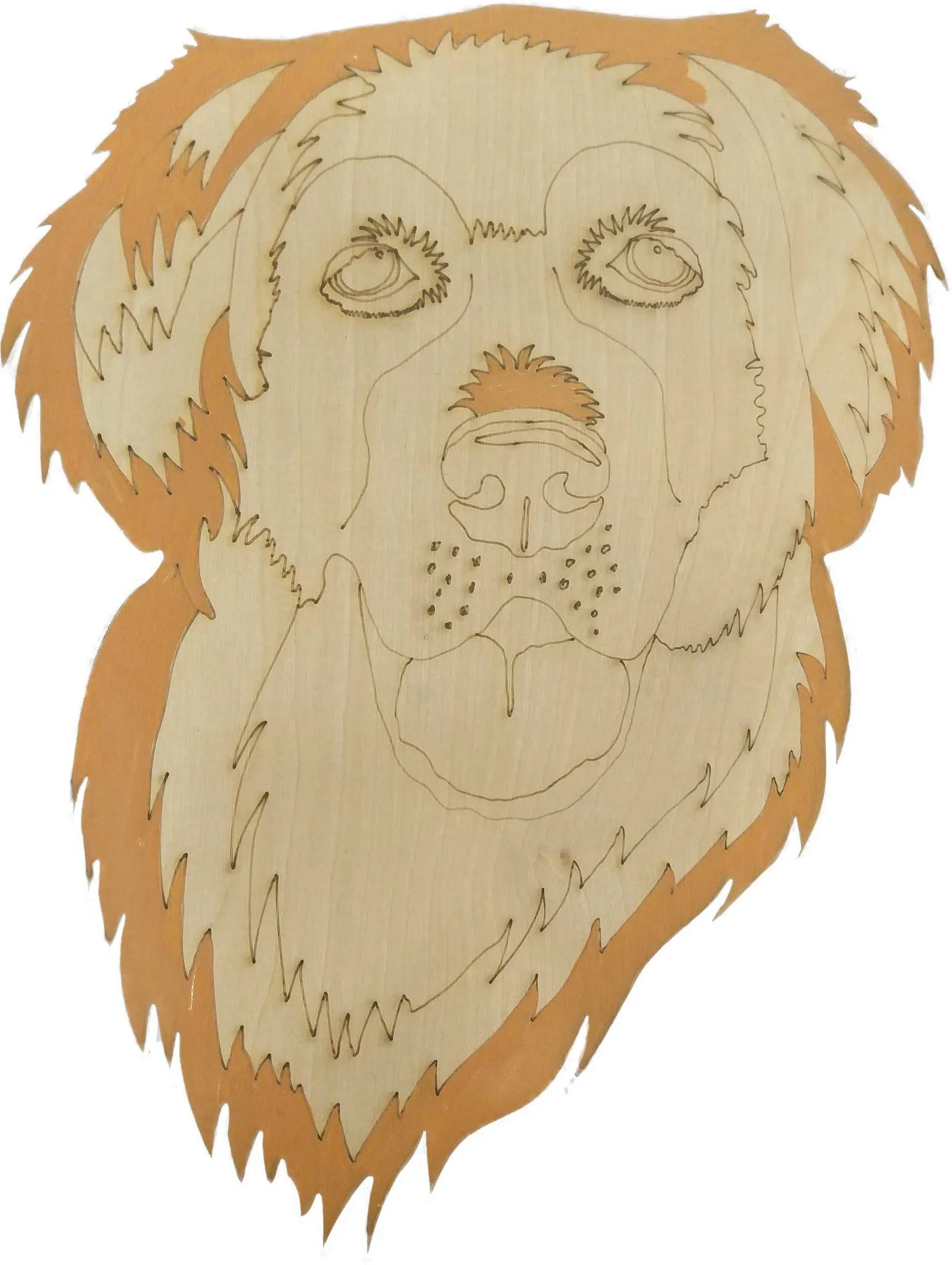 Golden Retriever-DIY Pop Art Paint Kit